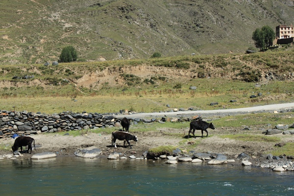 2011825916λ֮- 157.jpg