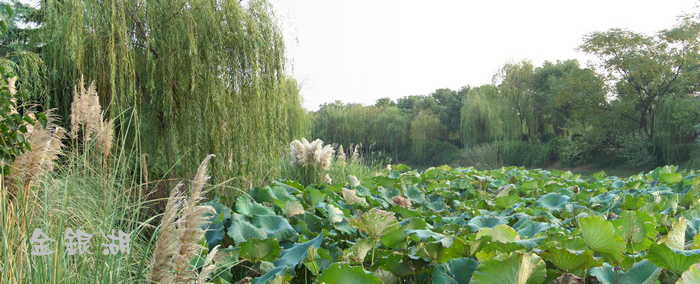 20091015人ʪع԰ (18).jpg