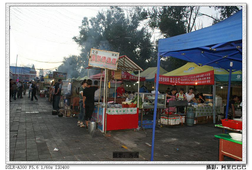 dsc08837.jpg