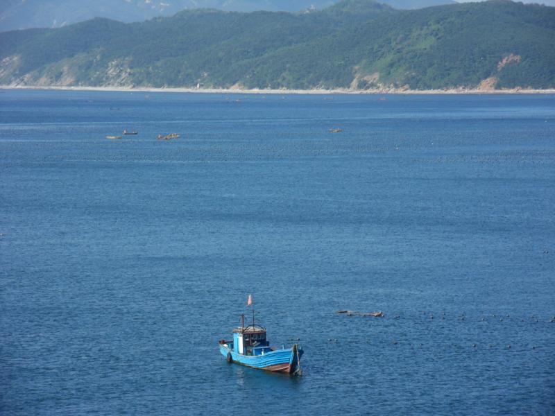 sdc10099.jpg