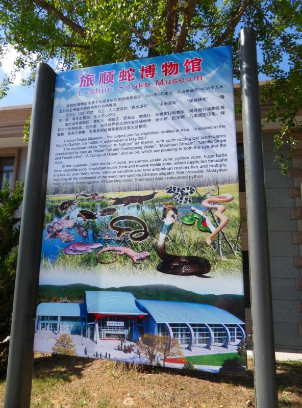 ת sdc10136.jpg