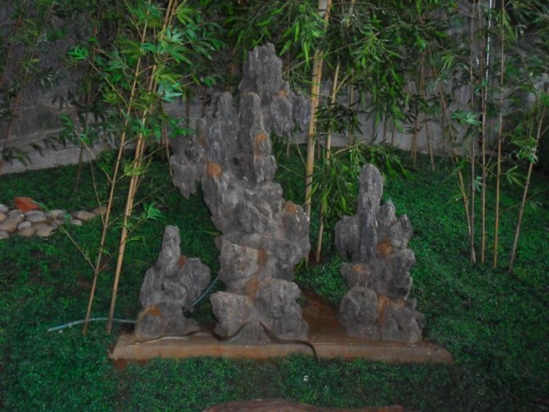 sdc10140.jpg