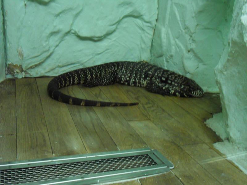 sdc10147.jpg