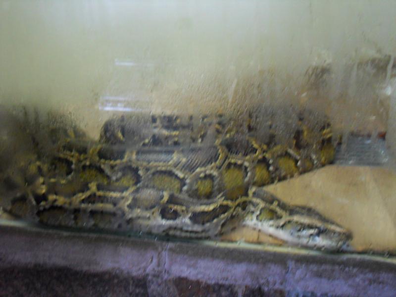 sdc10155.jpg