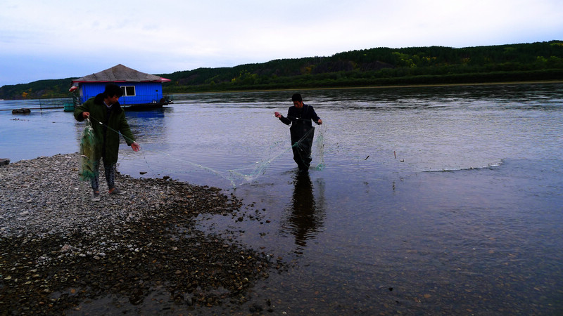 p1030886.jpg