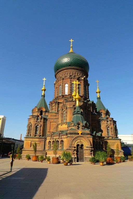 p1080524.jpg