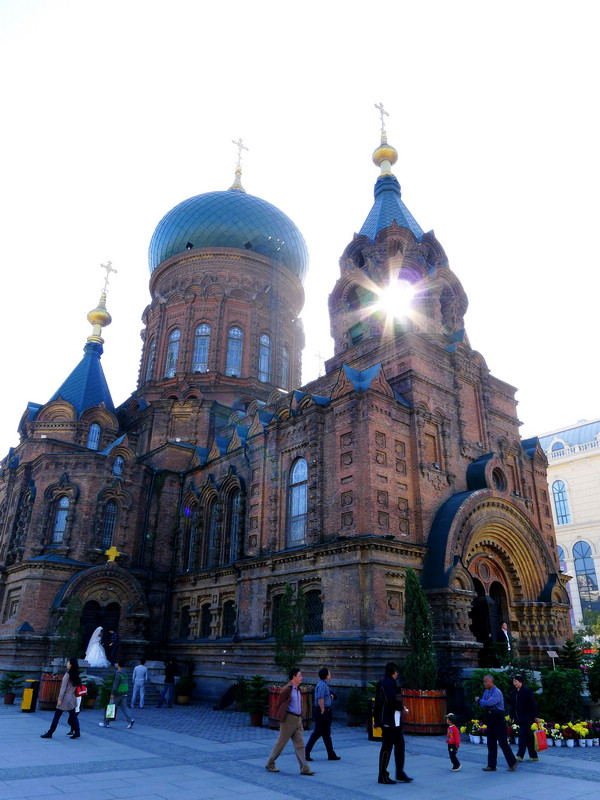 p1030746.jpg
