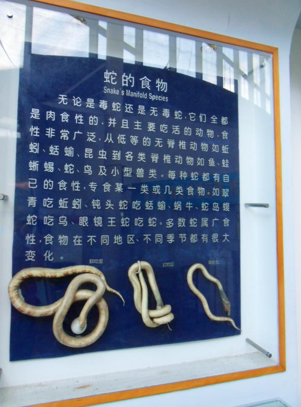 ת sdc10211.jpg