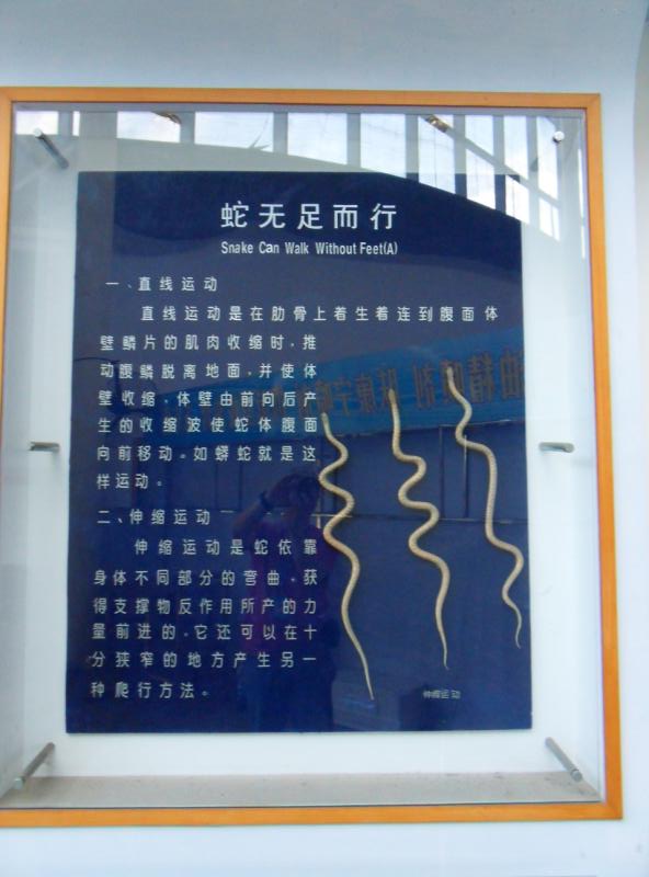 ת sdc10210.jpg
