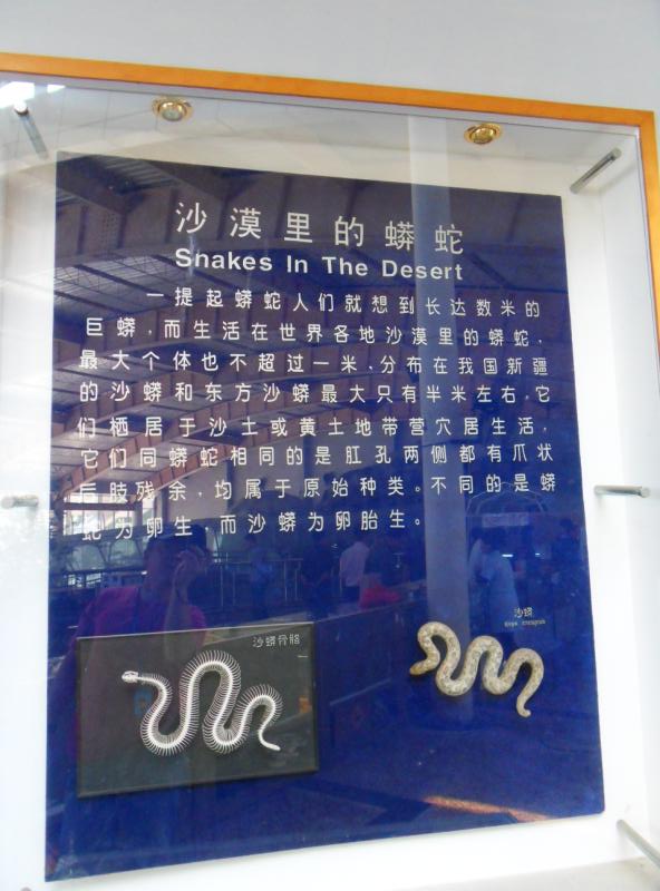 ת sdc10214.jpg