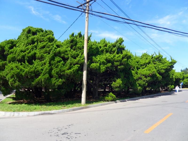 sdc10219.jpg