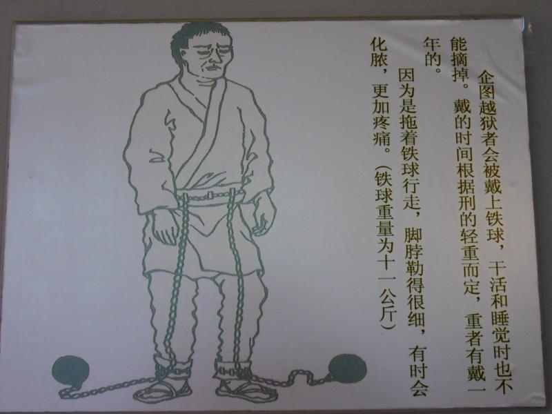 sdc10264.jpg