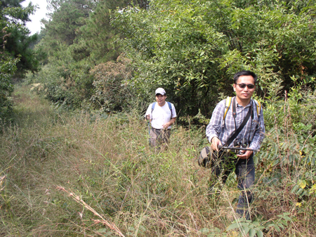 p1010058 .jpg