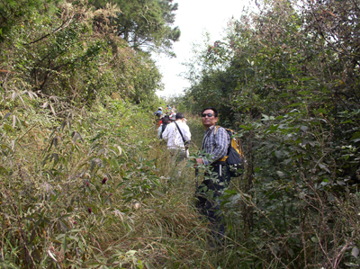 p1010059 .jpg