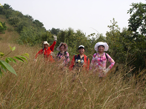 p1010067 .jpg