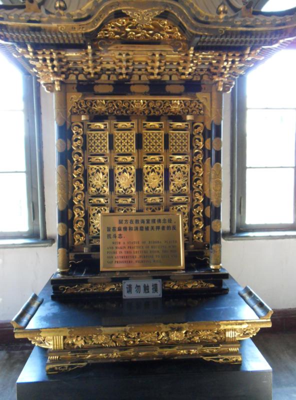 ת sdc10286.jpg