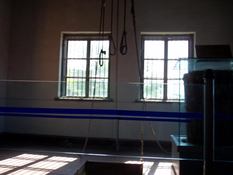 sdc10320.jpg