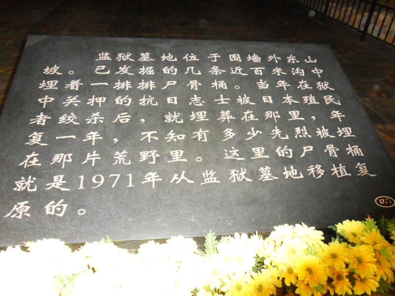 sdc10332.jpg