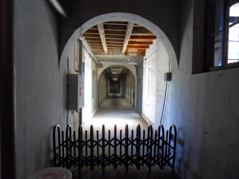 sdc10278.jpg