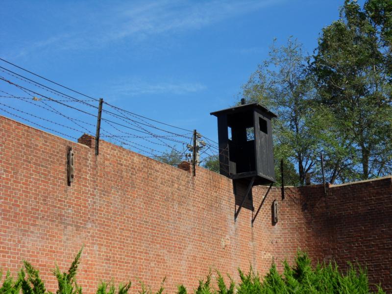 sdc10316.jpg
