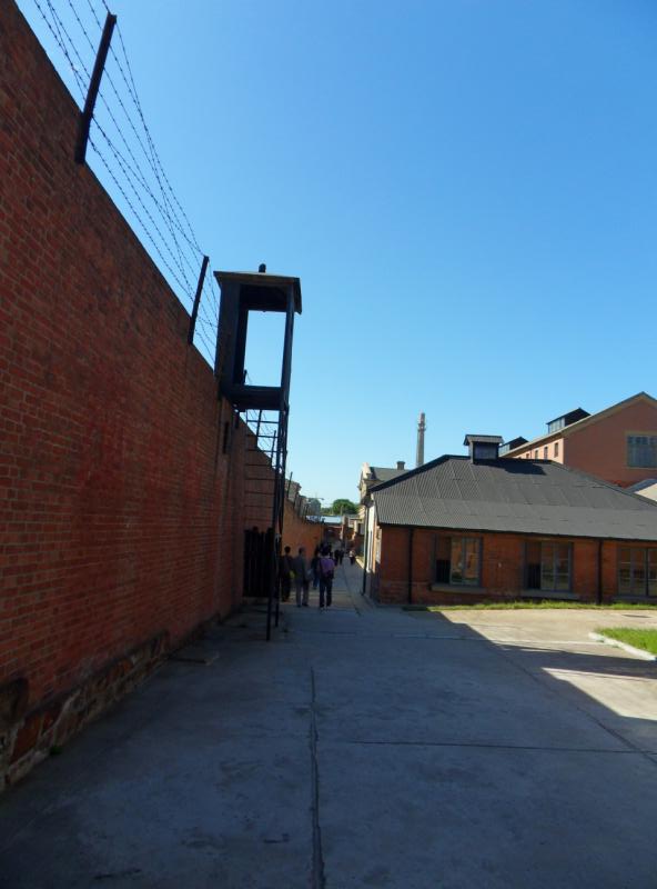 ת sdc10347.jpg