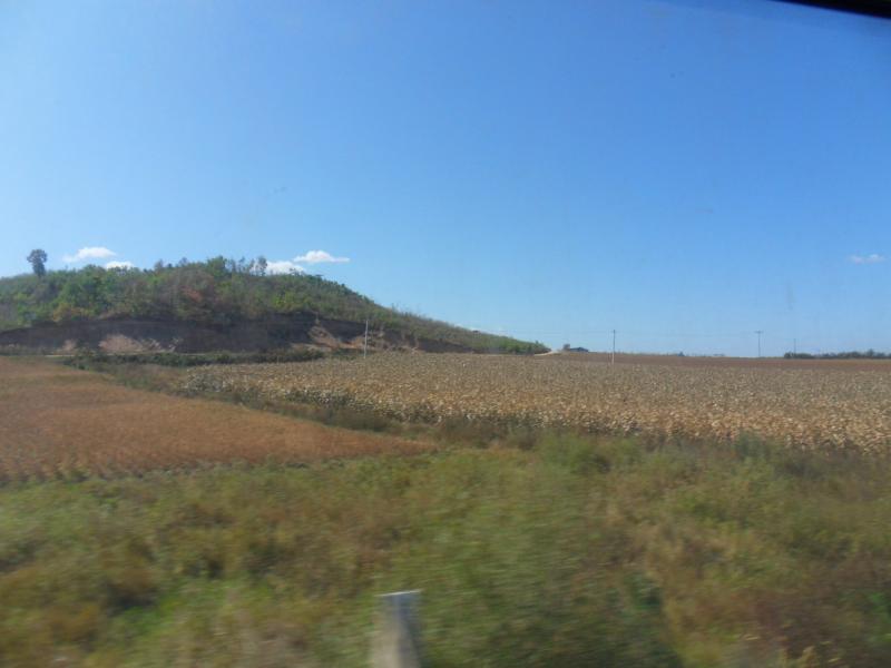sdc10370.jpg