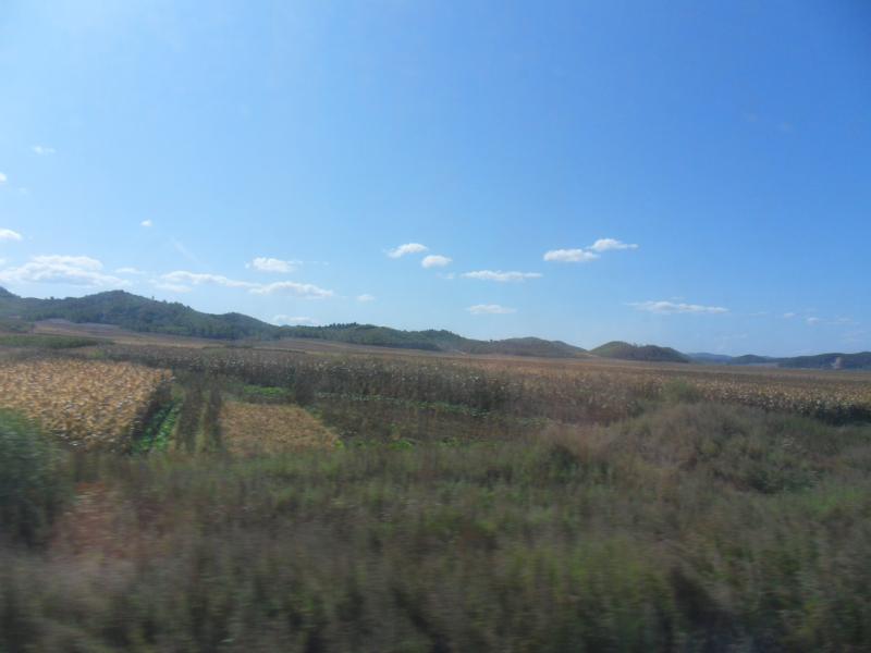 sdc10369.jpg