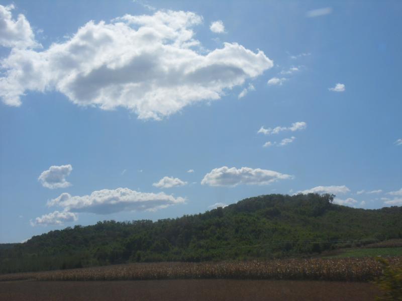 sdc10372.jpg