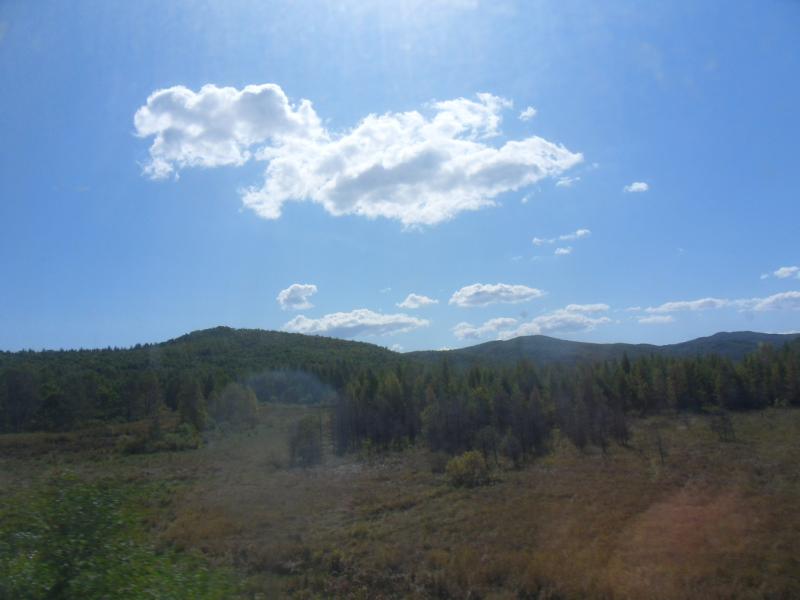 sdc10374.jpg