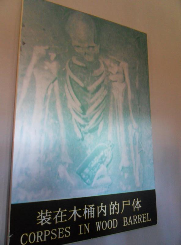 ת sdc10324.jpg