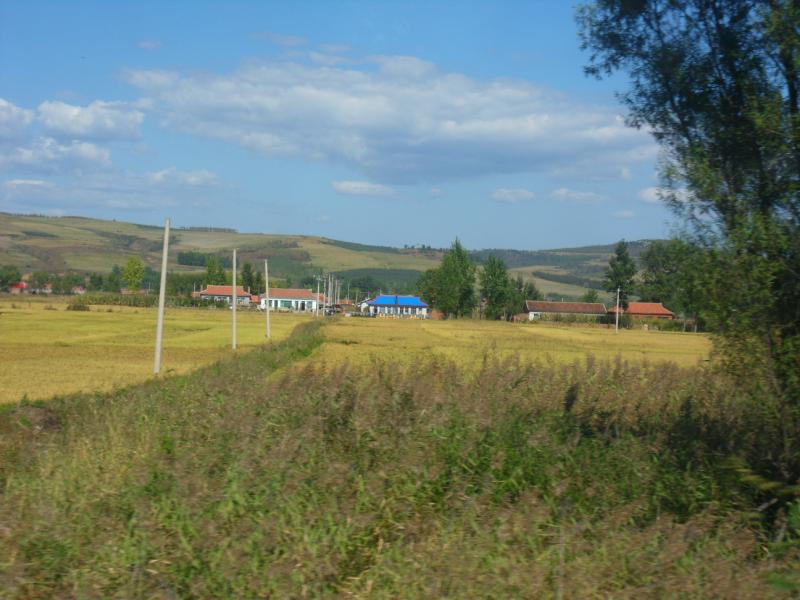 sdc10384.jpg