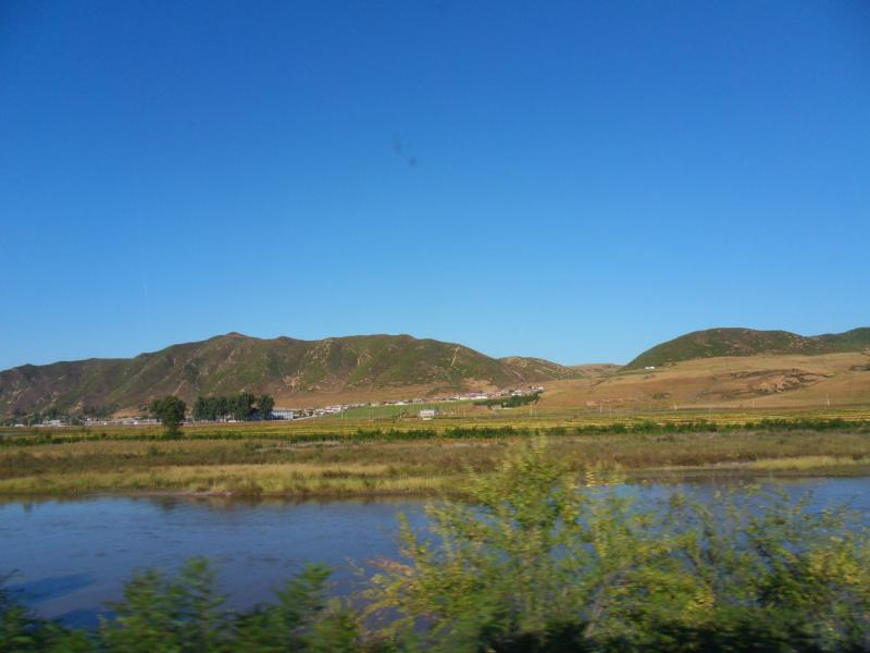 sdc10441.jpg