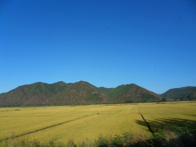 sdc10446.jpg