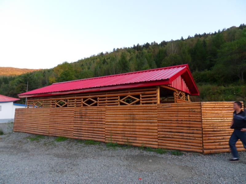 sdc10450.jpg