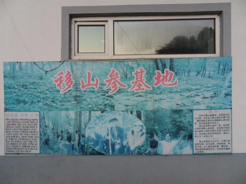 sdc10452.jpg