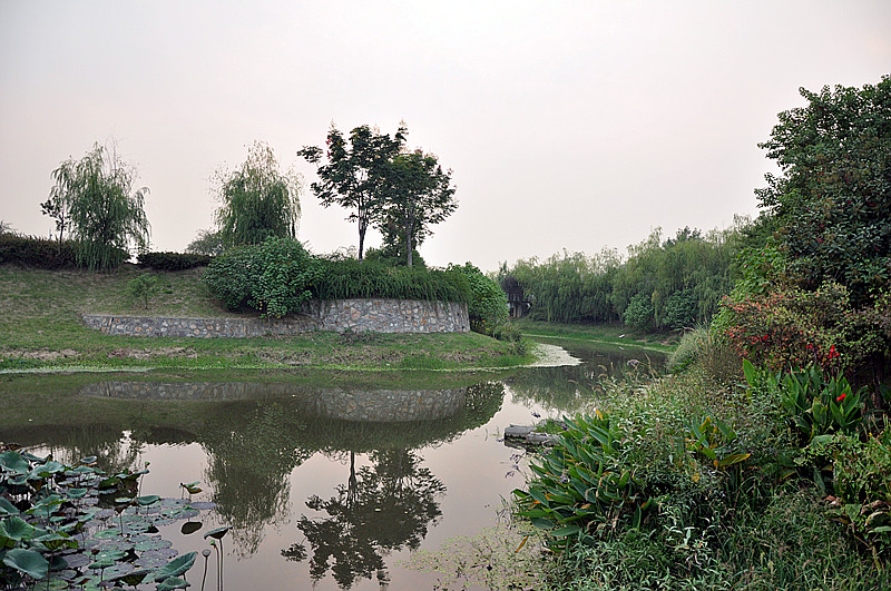 dsc_0003_.jpg