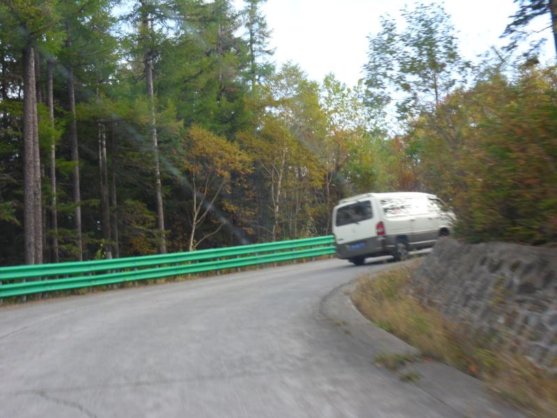 sdc10482.jpg