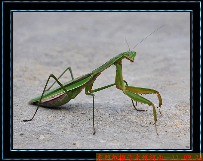 dsc_1063.jpg