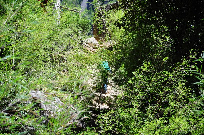 dsc_0771.jpg
