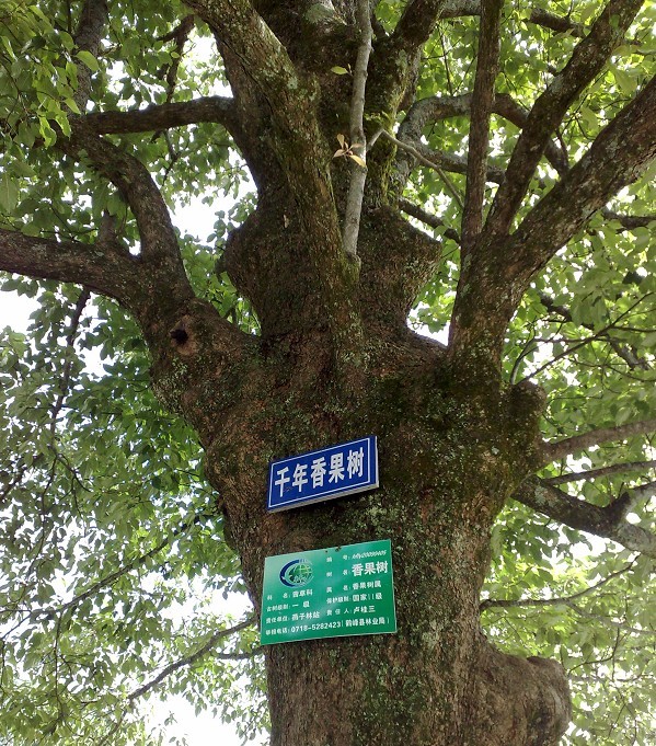 333223.jpg