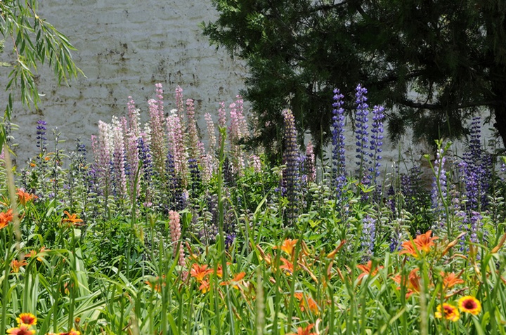 Ƭ 074.jpg