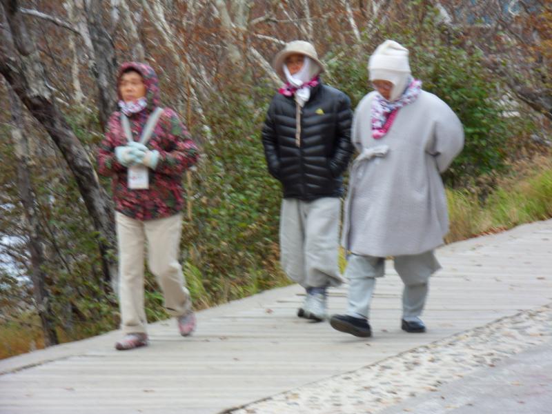 sdc10563.jpg