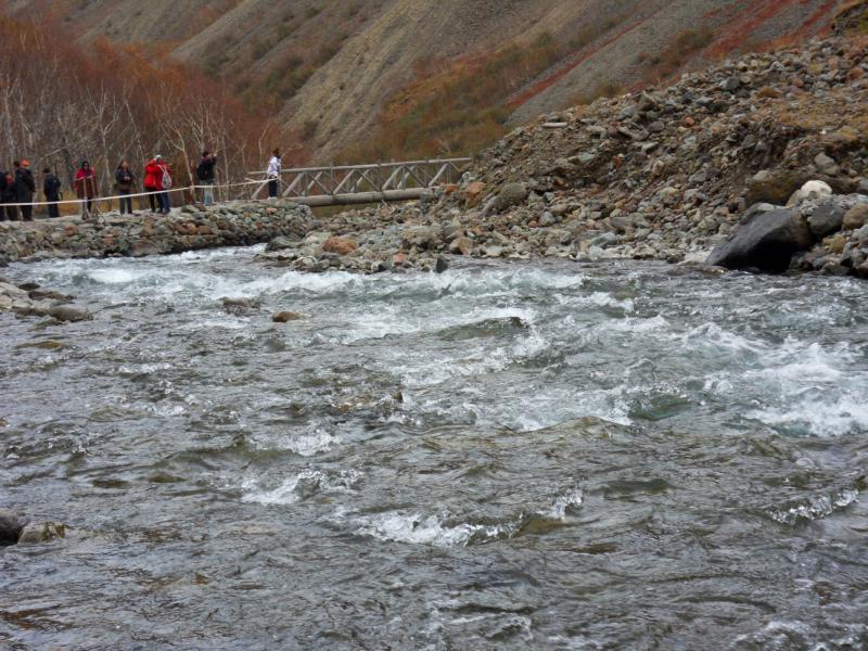 sdc10537.jpg