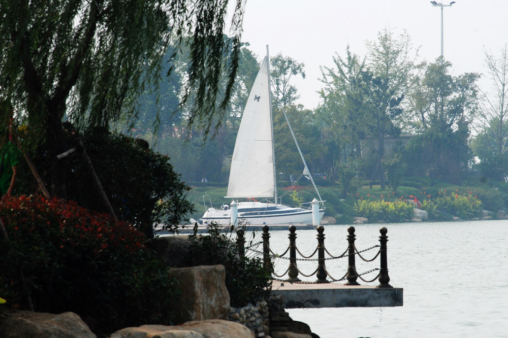 dsc_0084.jpg