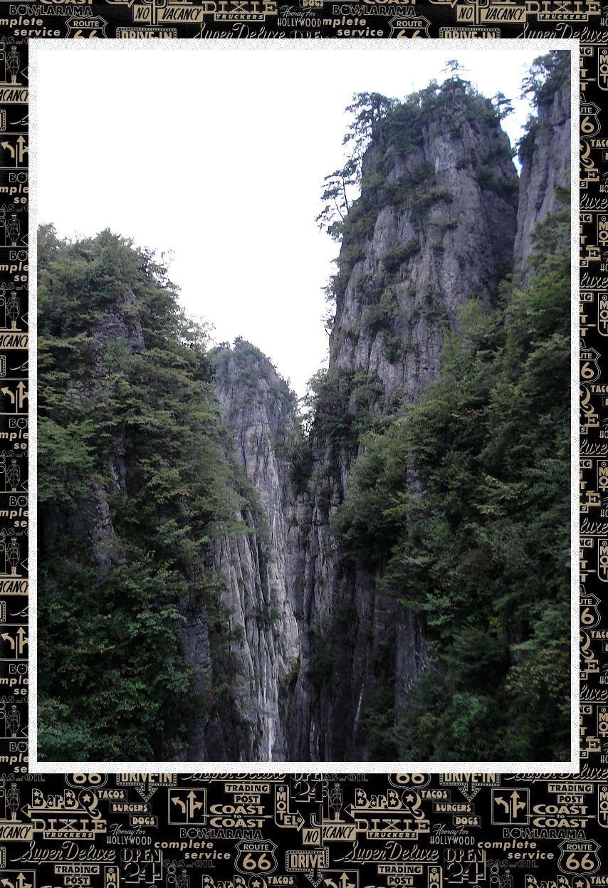dsc00028.jpg