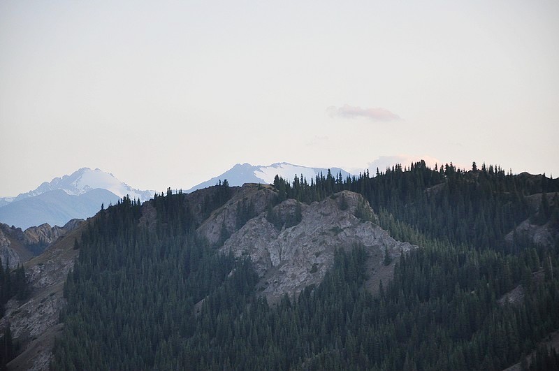 dsc_0908.jpg