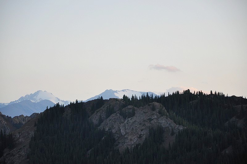 dsc_0907.jpg