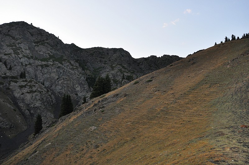 dsc_0895.jpg