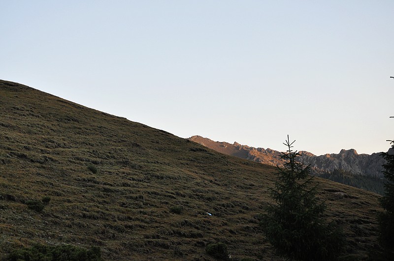 dsc_0888.jpg