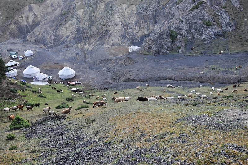 dsc_0885.jpg